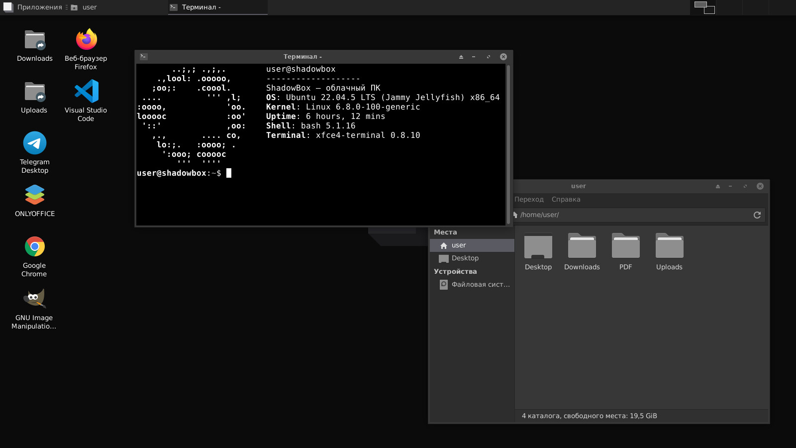 Рабочий стол ShadowBox в браузере: терминал и файлы
